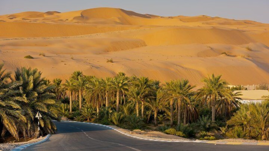 Private Liwa Full Day Desert Safari for Couples