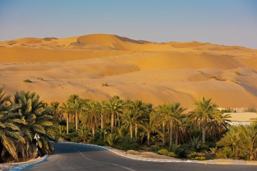 Private Liwa Full Day Desert Safari for Couples