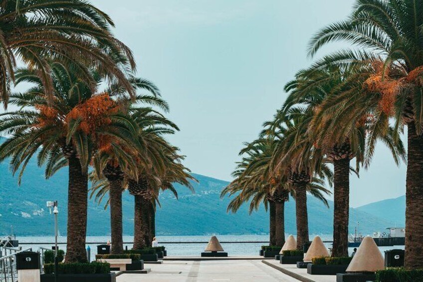 Tivat Porto Montenegro