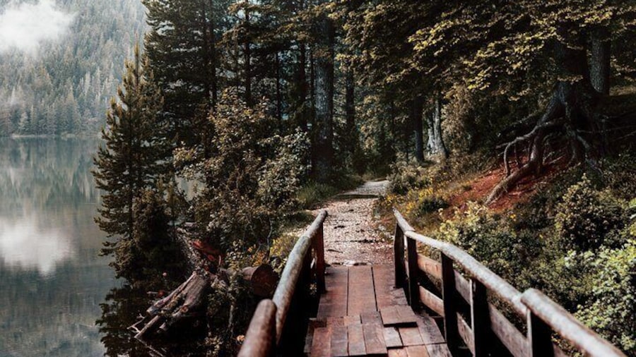 Black Lake