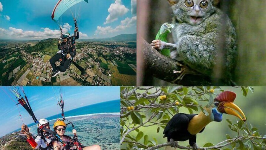 Paralayang and Tangkoko Nature Tourist Park include lunch