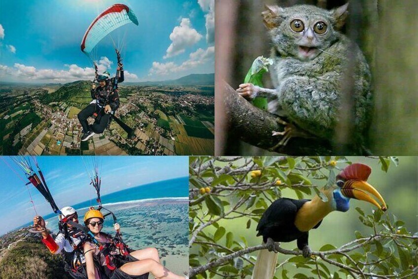 Paralayang and Tangkoko Nature Tourist Park include lunch