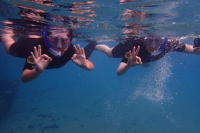 Snorkelers on the surface