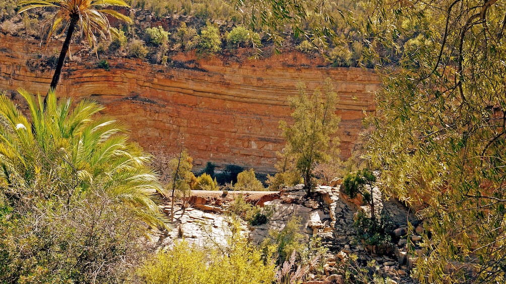 Colorful cliffs and green forests of Paradise Valley