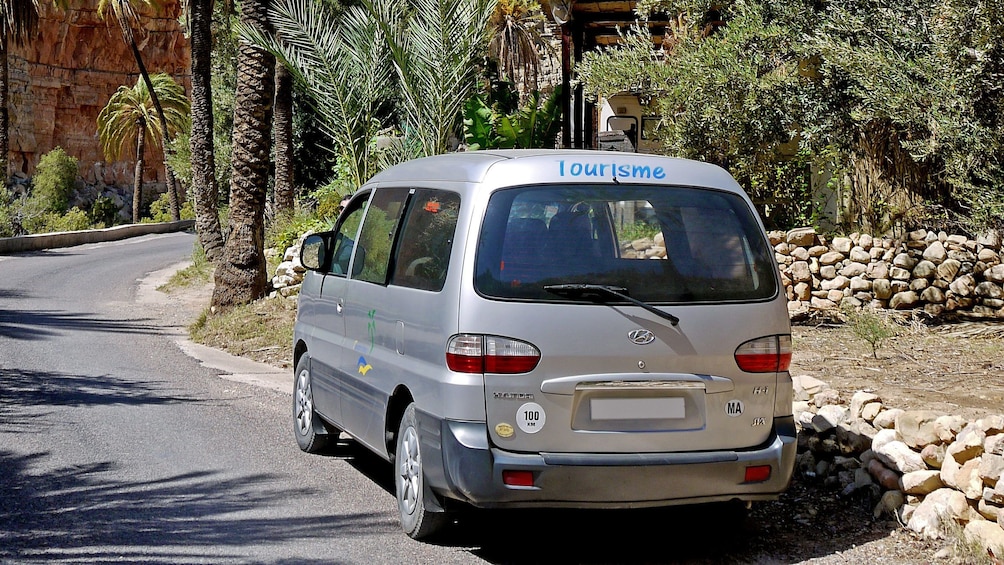 Tour van on a street lined with palm trees in Paradise Valley