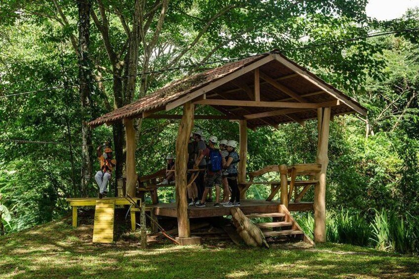 Canopy tour