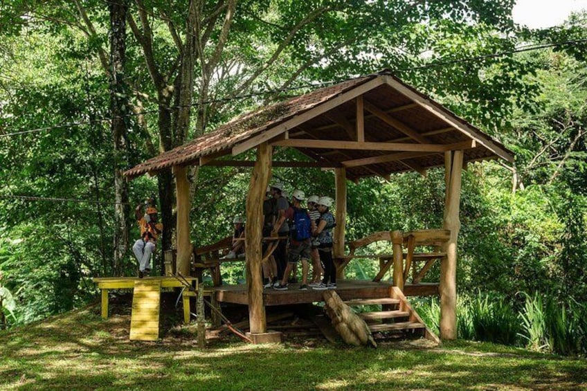 Canopy tour