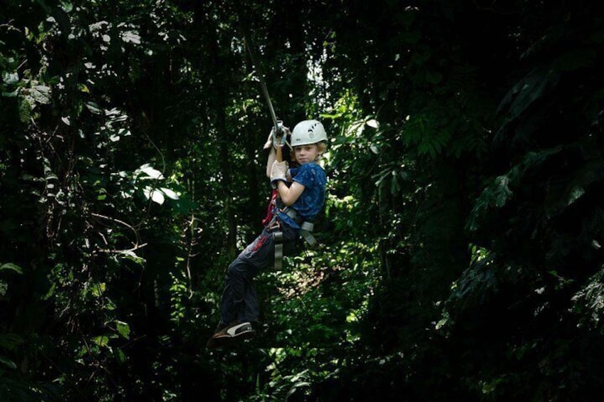 Canopy tour