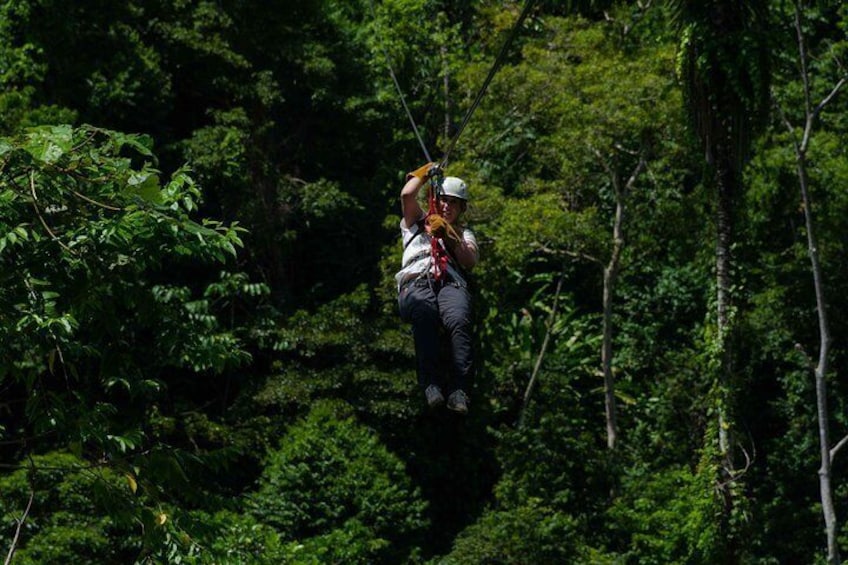 Canopy tour