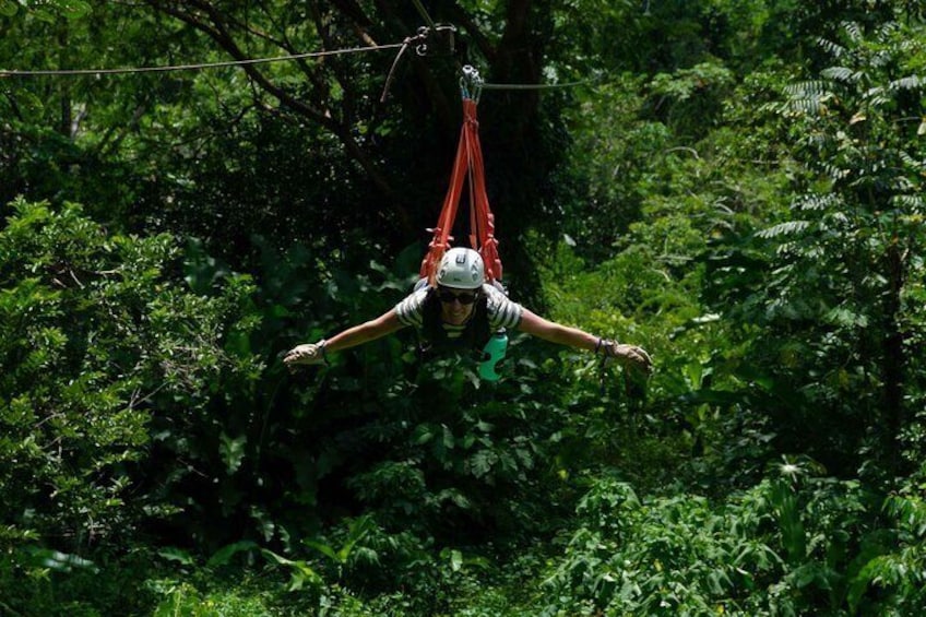 Canopy tour