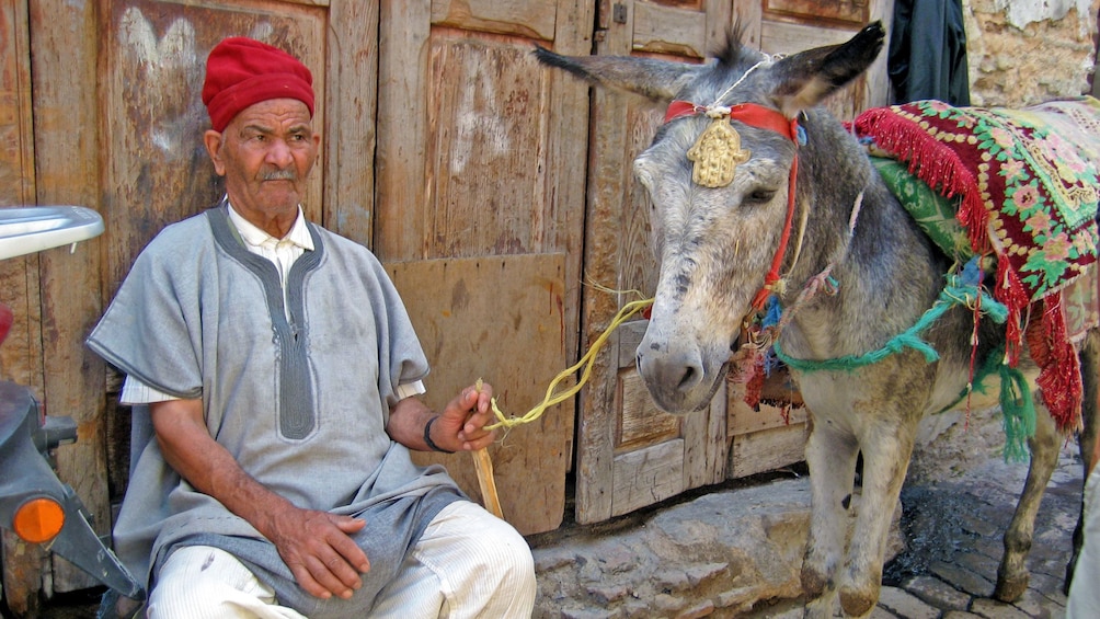 man with a donkey in casablanca