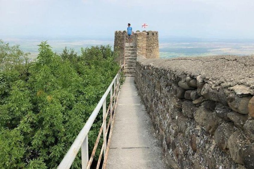 Private wine and cultural tour to Kakheti region