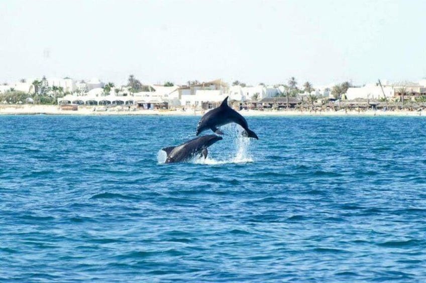 Snorkeling session in Djerba