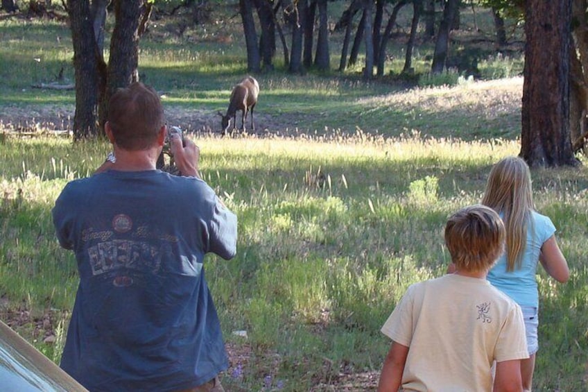 View wildlife in their natural habitat while off-road.