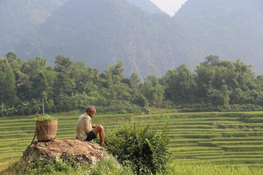 [Hiking & Trekking] Pu Luong Natural Reserve Explore (Full day)