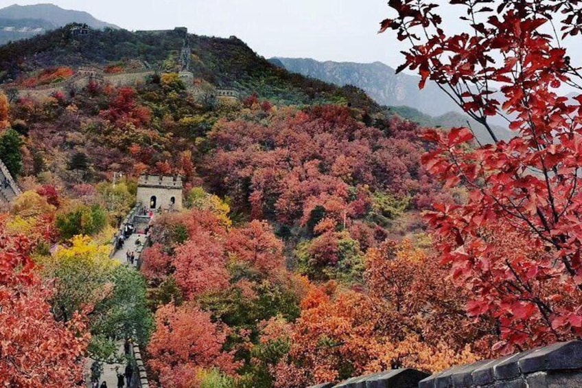 Beijing airport layover tour to Mutianyu Great Wall