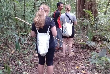 Combine of Tamblingan Waterfall and Twin Lake Tour