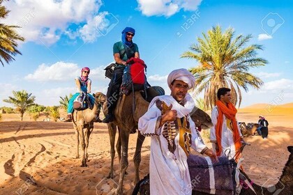 Full Merzouga Experience: Desert Camp & Camel Ride & 4x4 Tour