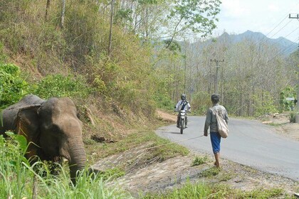 Vietnam Laos Thailand Expedition (Available for both Motorcycle & 4x4)