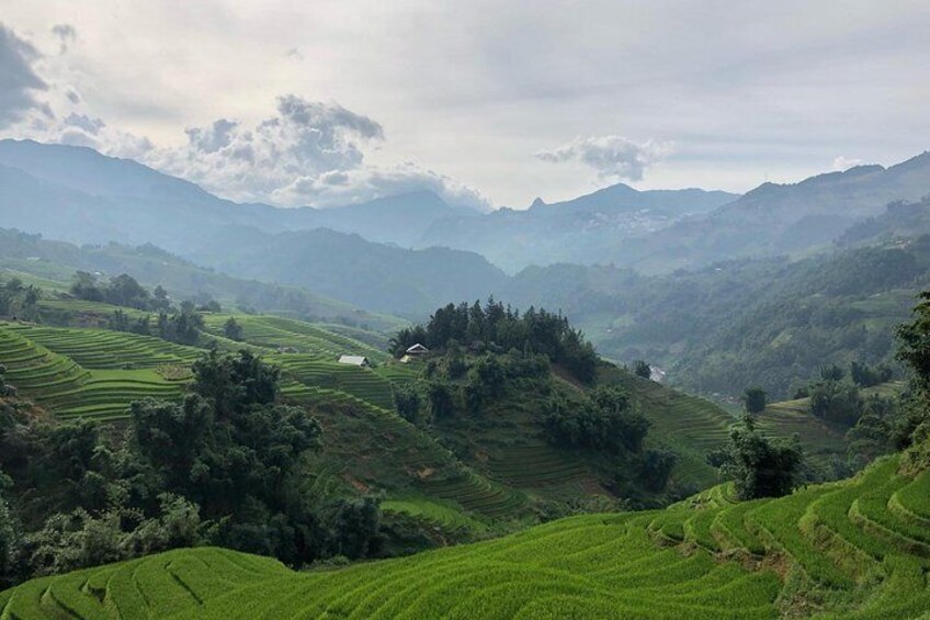 Trekking SaPa 1 Day - the best terraced rice field