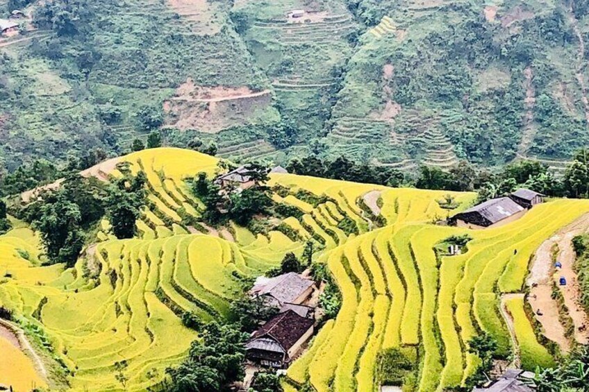 Trekking SaPa 1 Day - the best terraced rice field