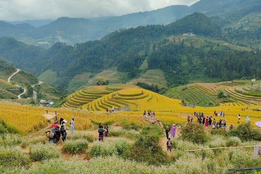 Full Day Trekking Mu Cang Chai