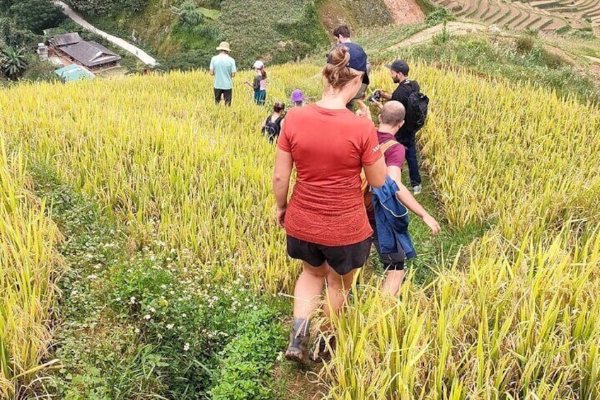 Full Day Trekking Mu Cang Chai