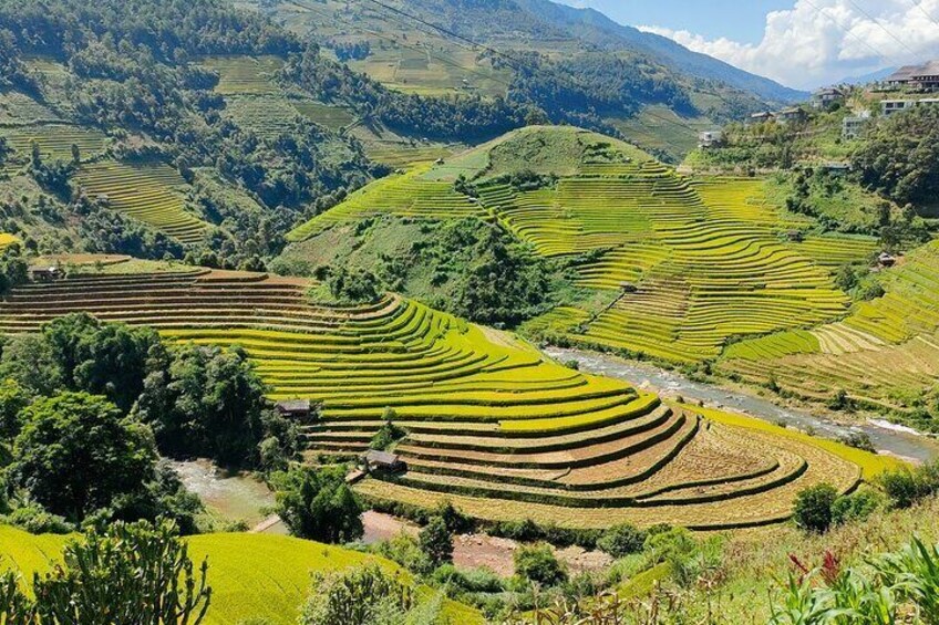 Full Day Trekking Mu Cang Chai