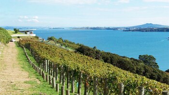 Taste of Waiheke Island Tour