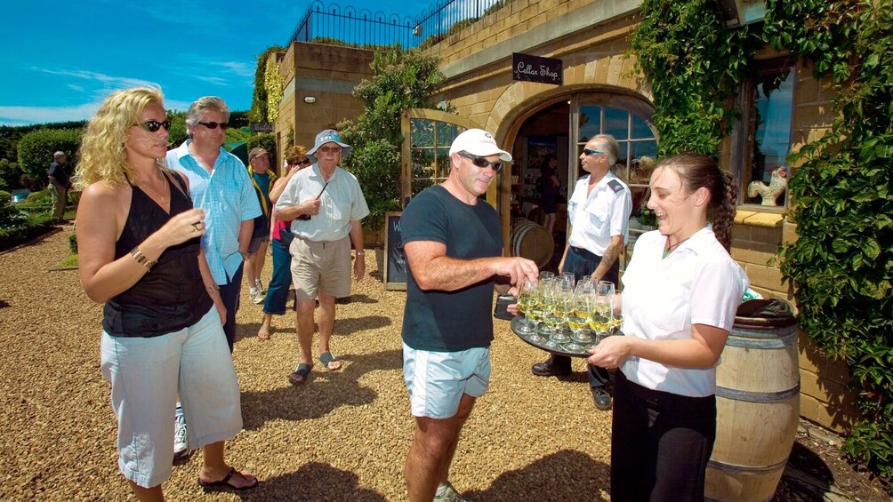 Show item 1 of 8. Cellar Shop employee handing out glasses of wine in New Zealand