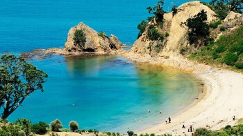 Rotoroa Island Day Trip