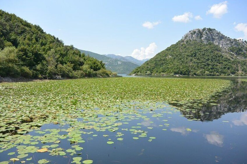 Lake Skadar boat ride