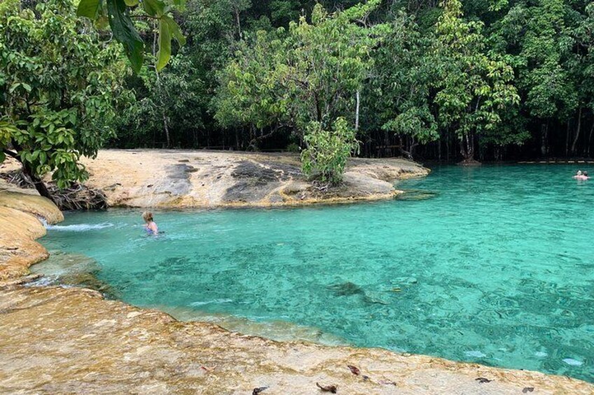 All day Krabi Jungle Tour (Hot Spring Water, Emerald Pool, Tiger Cave Temple) 