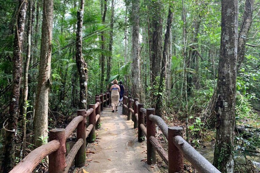 All day Krabi Jungle Tour (Hot Spring Water, Emerald Pool, Tiger Cave Temple)