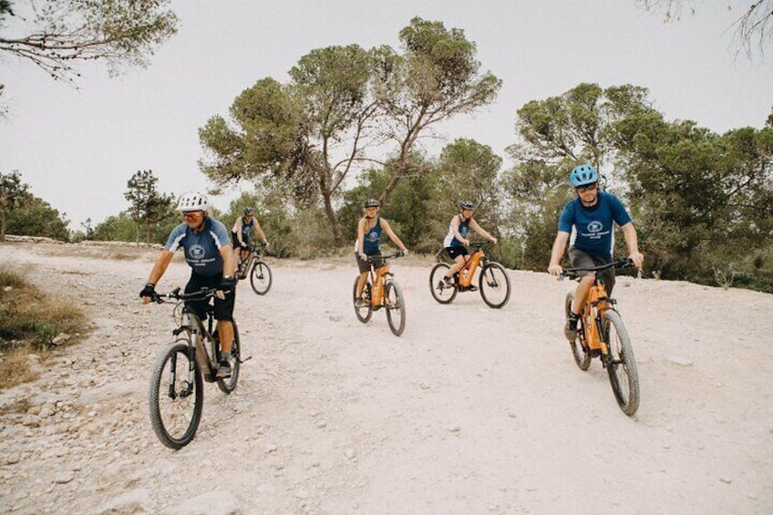 Ebike tour of ibiza town and surroundings (start from the port)