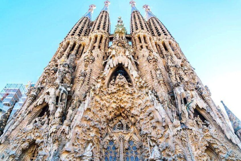 Highlights of Barcelona Private Tour with Sagrada Familia Fast Track Ticket