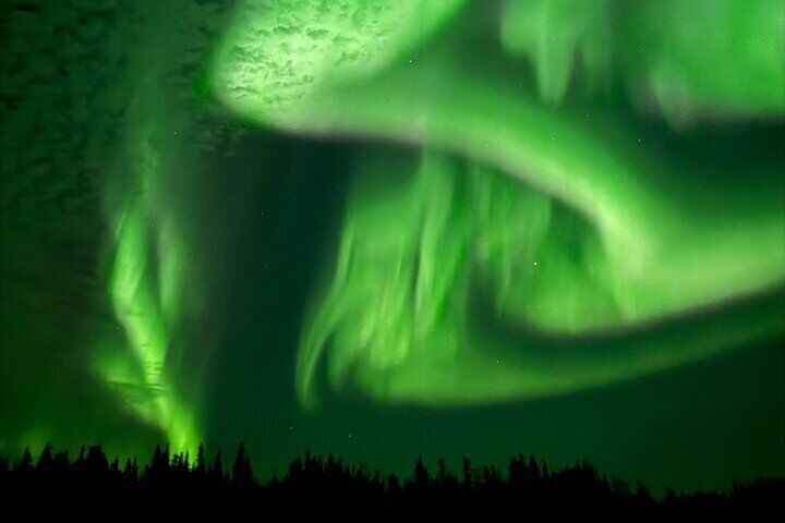 Cabin Fever Tours - Aurora Viewing Experience