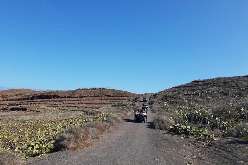 Buggy 3h Guided tour of the north of Lanzarote