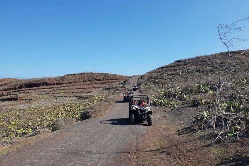 Buggy 3h Guided tour of the north of Lanzarote