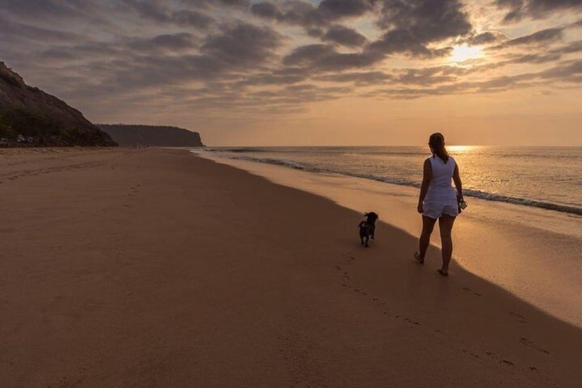 An awakening & healing crashcourse at the beach.