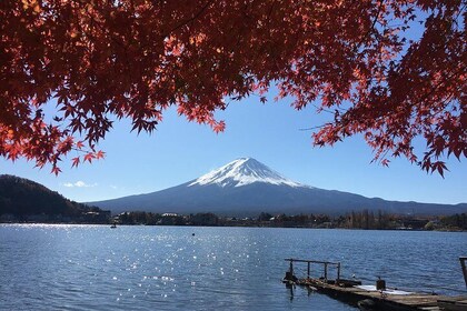 Mt Fuji Viewing,Kawaguchiko, Arakurayama and Lake Yamanaka Small Group Tour