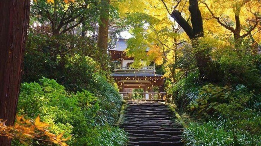 Kamakura Zen Temples and Gardens Private Trip with Nationally-Licensed Guide