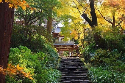 Kamakura Zen Temples and Gardens Private Trip with Government-Licensed Guid...