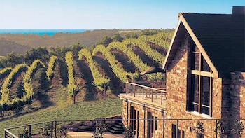 McLaren Vale Intimate Winery Tour by private Limo