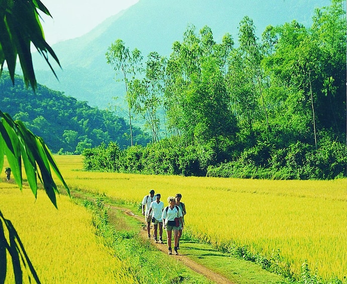 15 Day Hanoi-Pu Luong-Halong-Hue-Hoi An-Ho Chi Minh Tour