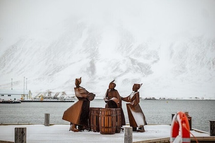 Arctic Coastline and Siglufjörður Tour