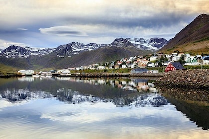 Arctic Coastline and Siglufjörður Tour
