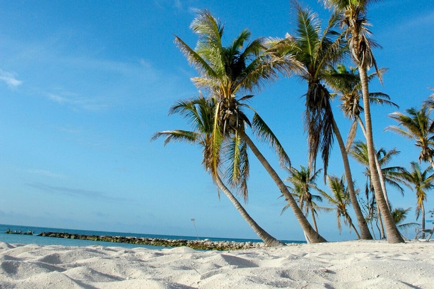 Key West & Conch Train from Fort Lauderdale