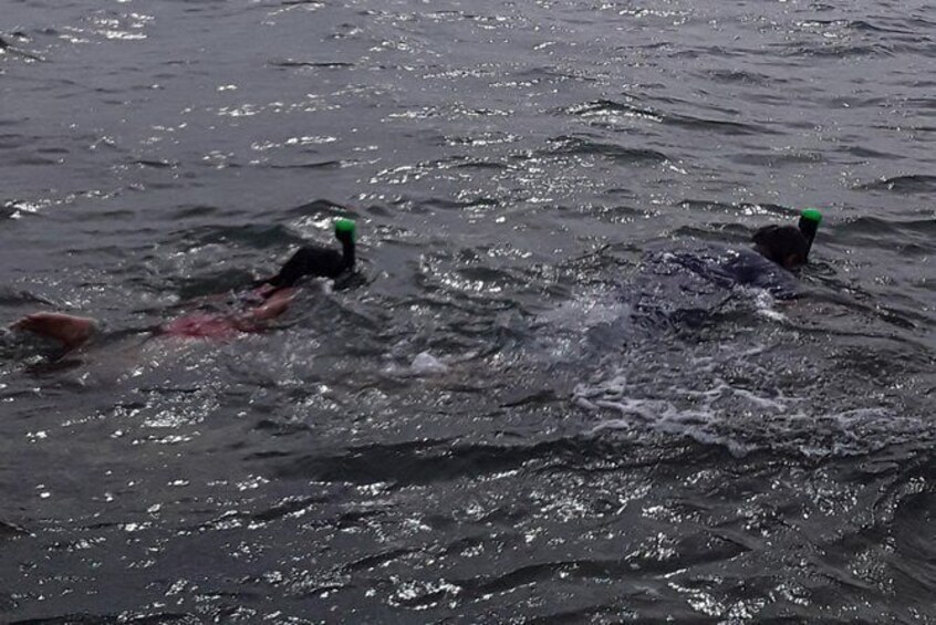 Other side of heaven Eco friendly snorkeling adventure