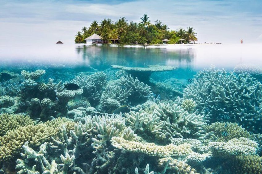 Other side of heaven Eco friendly snorkeling adventure